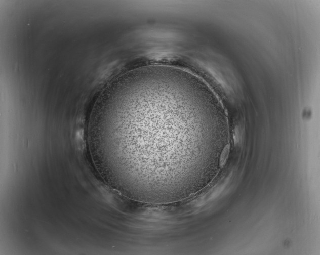 X0000102781396200808251104