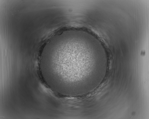 X0000102781397200808251104