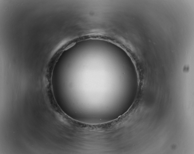 X0000102781400200808251104