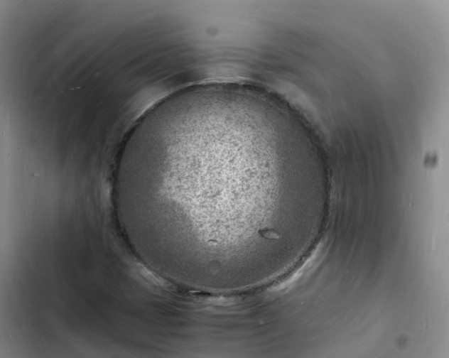 X0000102781401200808251104