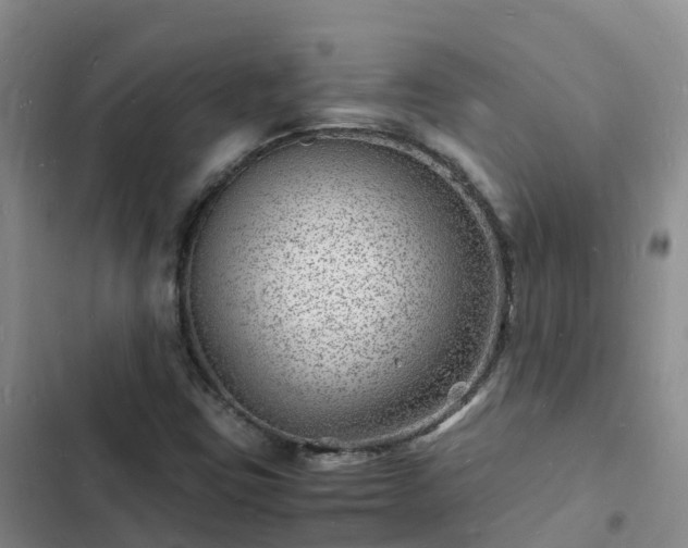 X0000102781403200808251104