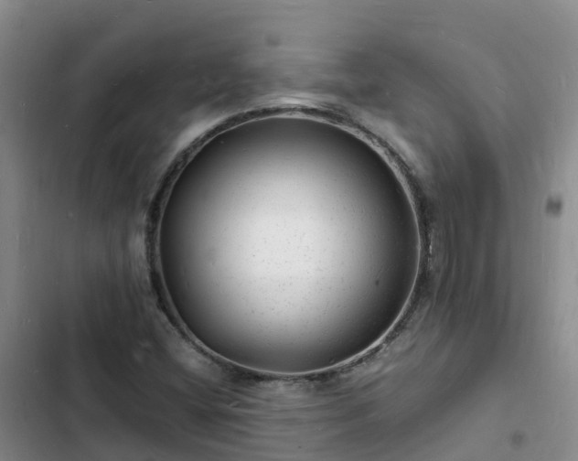 X0000102781404200808251104