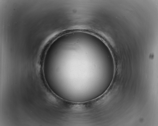 X0000102781406200808251105