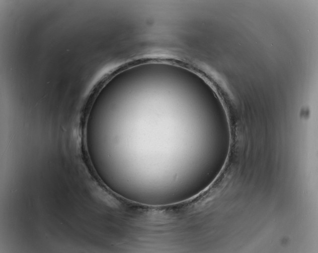 X0000102781408200808251105