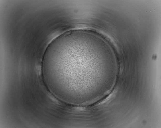 X0000102781409200808251105