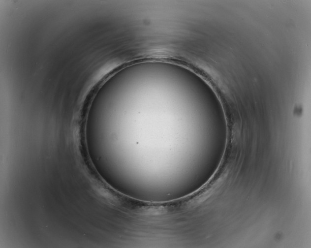 X0000102781410200808251105