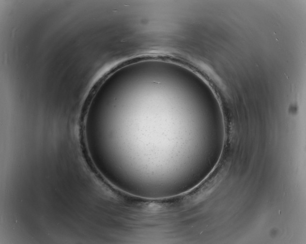 X0000102781412200808251105