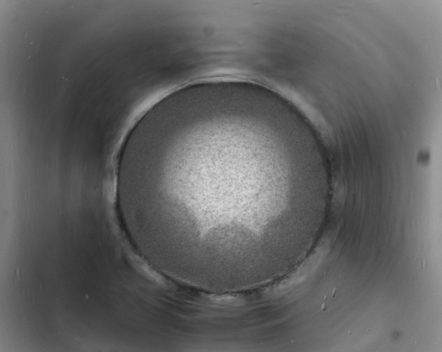 X0000102781413200808251105