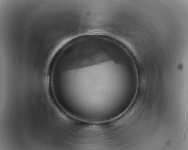 X0000102781414200808251105