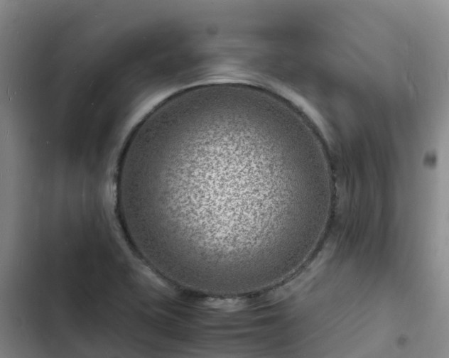 X0000102781415200808251105