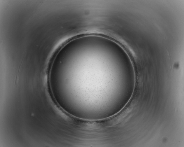 X0000102781416200808251105