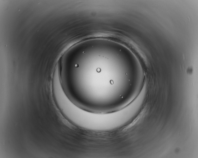 X0000102781417200808251105