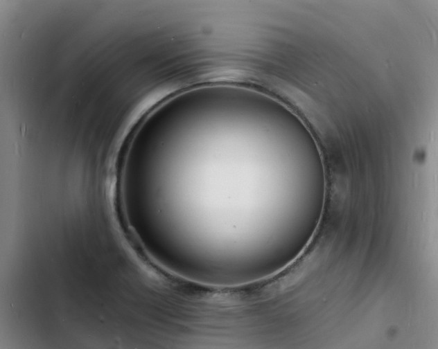 X0000102781418200808251105