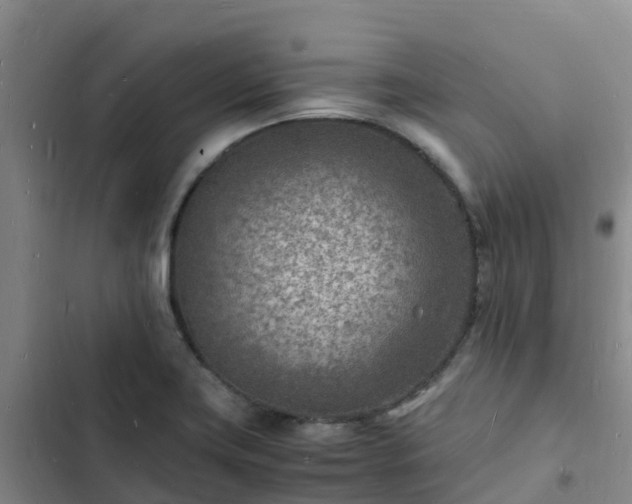 X0000102781419200808251105