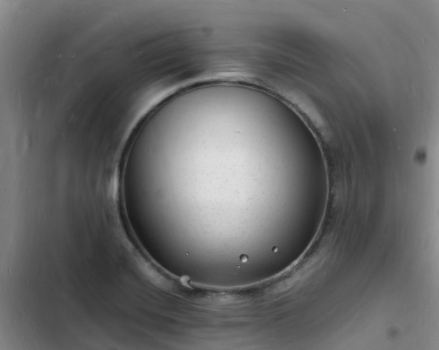 X0000102781420200808251105