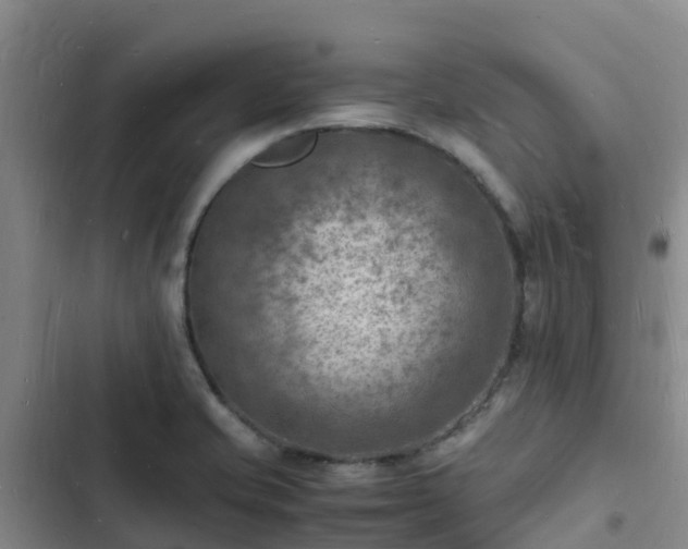 X0000102781421200808251105