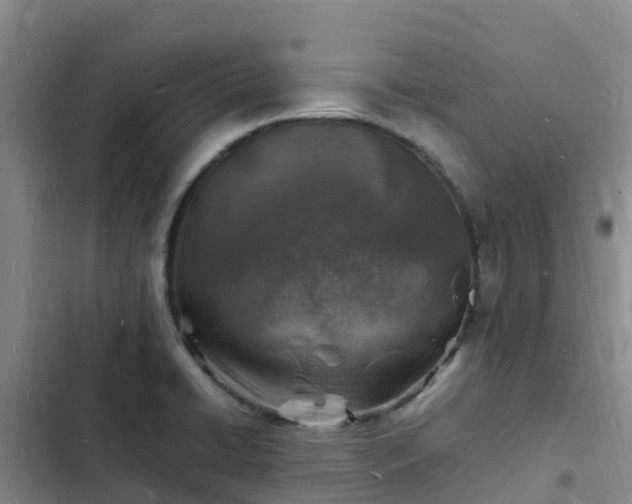 X0000102781422200808251105