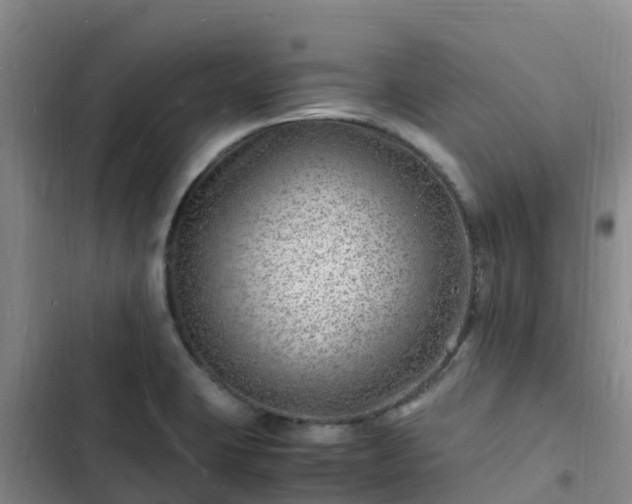 X0000102781423200808251105