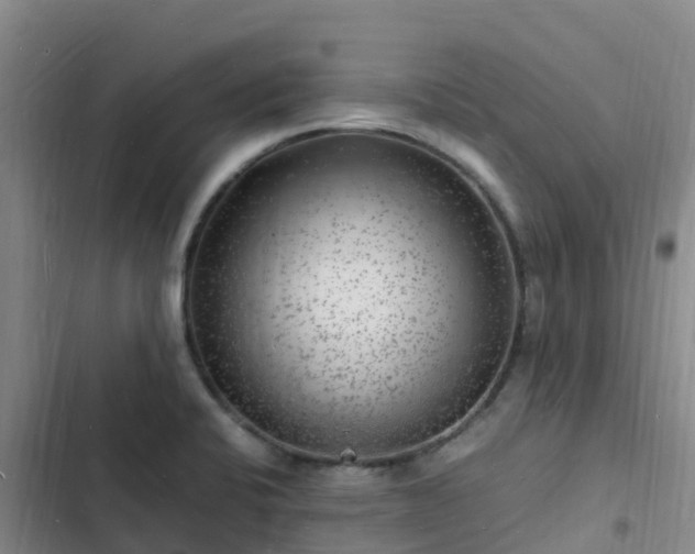 X0000102781424200808251105