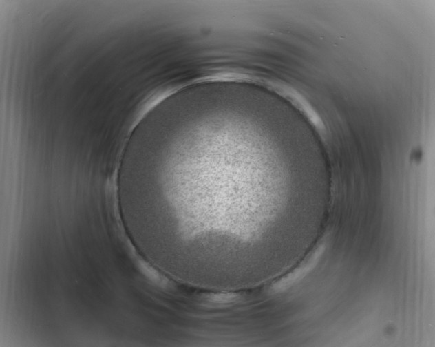 X0000102781425200808251105