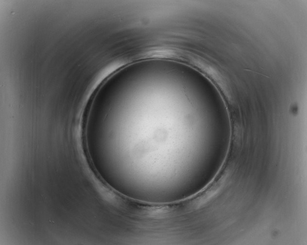 X0000102781426200808251105