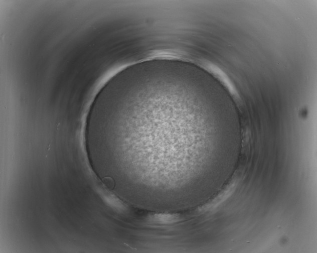 X0000102781427200808251105