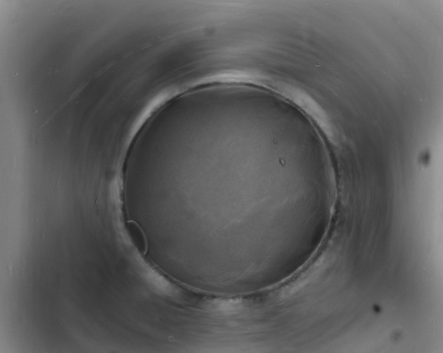 X0000102781428200808251105