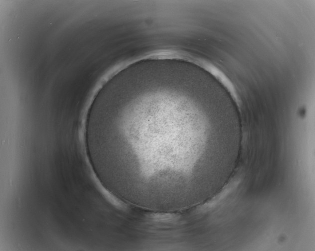 X0000102781429200808251105