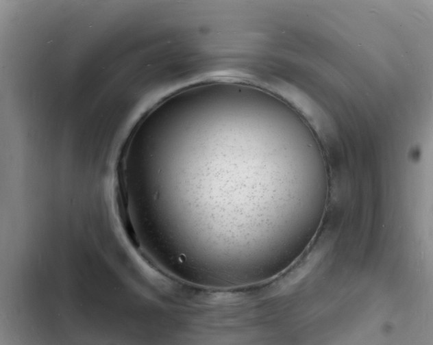 X0000102781430200808251105