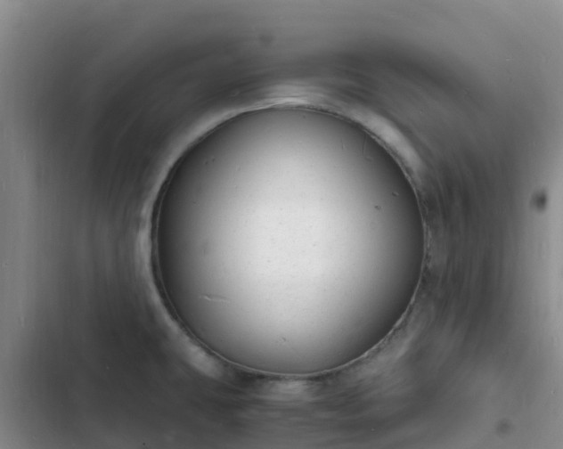 X0000102781431200808251105