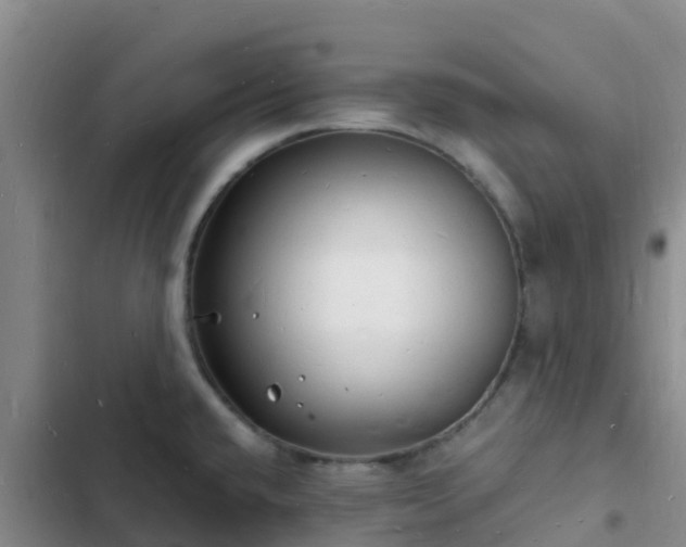 X0000102781432200808251105