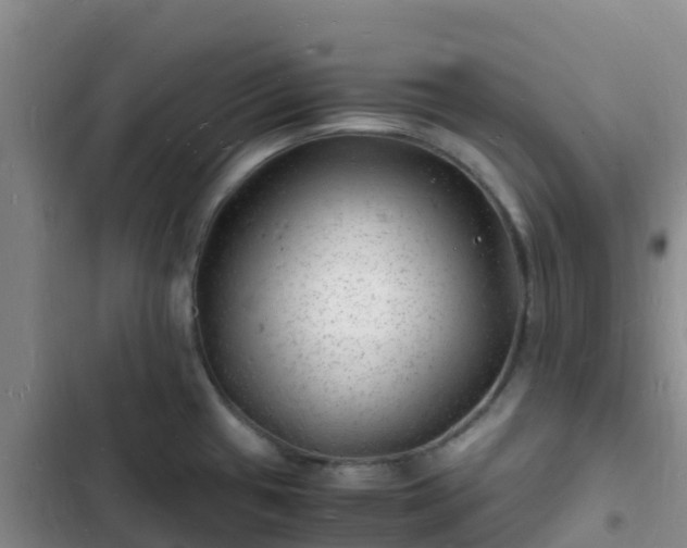 X0000102781433200808251105