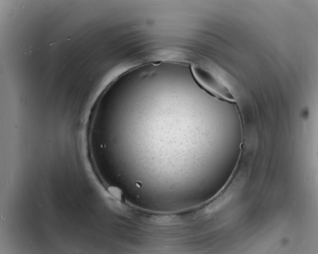 X0000102781434200808251105