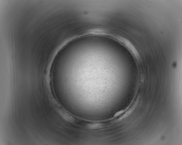 X0000102781435200808251105