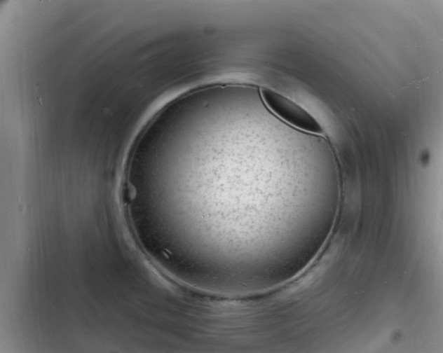 X0000102781436200808251105