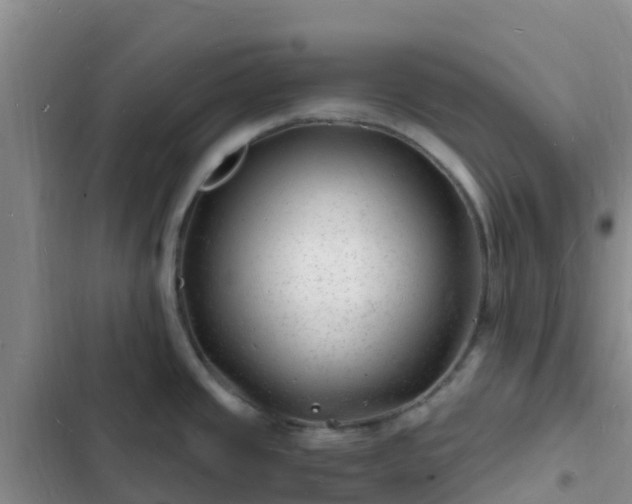 X0000102781437200808251105