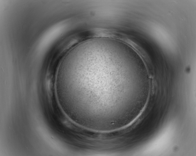 X0000102781438200808251105