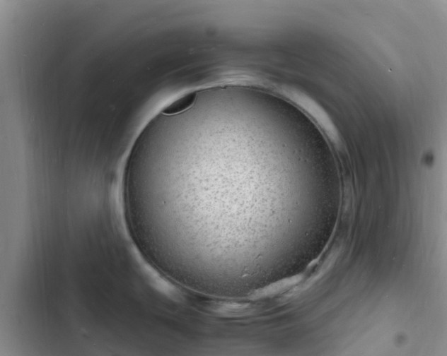 X0000102781439200808251105