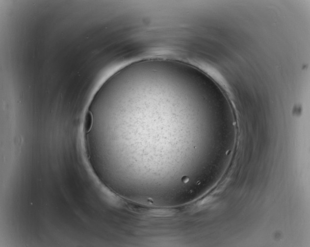 X0000102781440200808251105