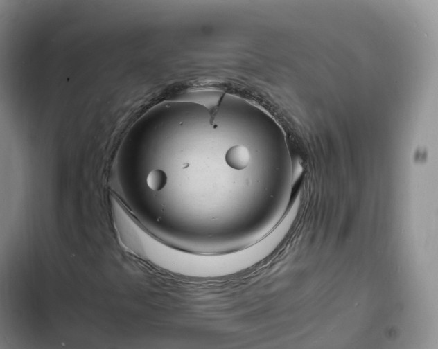 X0000102781441200808251104