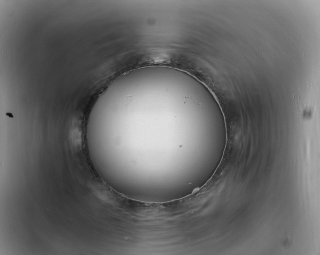 X0000102781442200808251104