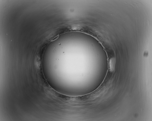 X0000102781443200808251104