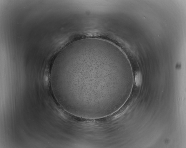 X0000102781444200808251104