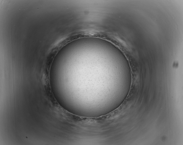 X0000102781446200808251104