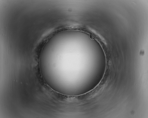 X0000102781447200808251104