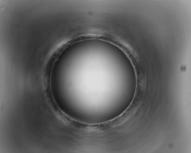 X0000102781448200808251104