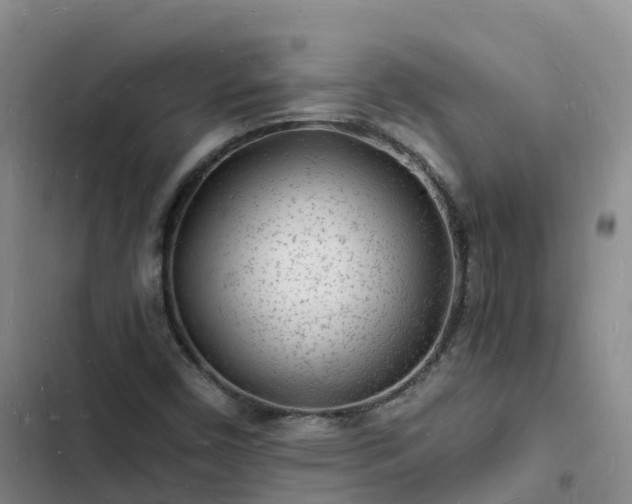 X0000102781450200808251104