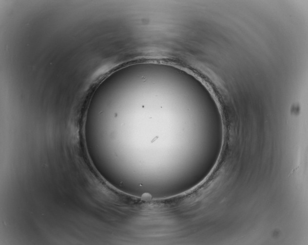 X0000102781451200808251104