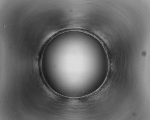 X0000102781452200808251104