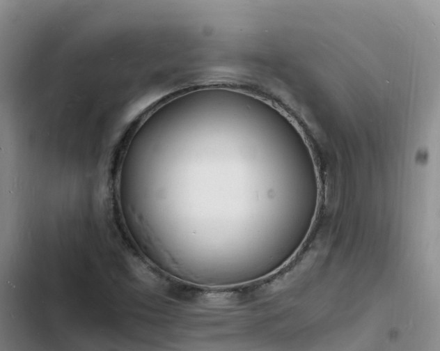 X0000102781453200808251104